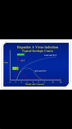 Rose Apple on Instagram: "💐Hepatitis A Virus (HAV)💐 🔸Causes: Hepatitis A 🔸Transmission: Through ingestion of food or water contaminated with feces from an infected person (fecal-oral route) 💐Disease Characteristics💐 🔸Acute phase: Most cases resolve spontaneously 🔸Does not become chronic 🔸Prevention: Vaccination provides effective immunity and is widely used 💐Laboratory Testing💐 🍁1.Serological Tests 🔸Anti-HAV IgM: Detects acute infection. Appears 1–2 weeks before symptom onset and pe