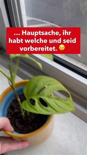 Wo bewahrt ihr die Kondome zuhause auf?