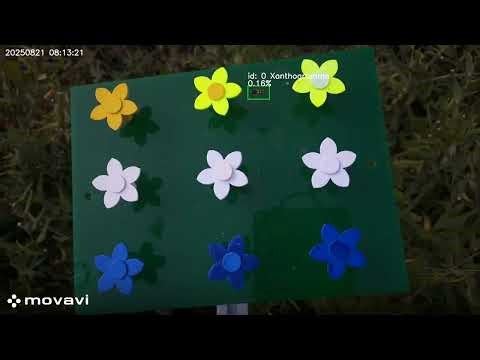 InsectsDCT: Insect Camera Trap Recordings