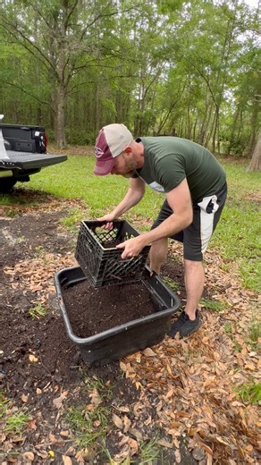 I use a milk crate to sift my compost when I am bagging it up | James Weston