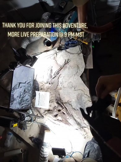 #fossils #fossil #paleontology #geology #streamer #reptiles #nature #science #crocodile #prehistoric #wyoming #explore #fossilhunter #interesting #stream #fyp #rocks #fossiladdict #palaeontology #fypシ #live #naturalhistory #vertabrae #paleontologist #real #evolution #geologyrocks #preparation #fossilpreparation #eocene #greenriverformation #quarry #expression