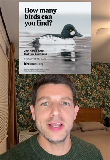 Great Backyard Bird Count 🌎 ✅ Help scientists just by watching birds! The GBBC is one of the easiest ways to participate in real citizen science. Anyone can do it. 📍 Pick any place with birds. ⏱️ Watch for 15 minutes 📲 Submit a report online #birdtok #birdsoftiktok #bird #greatbackyardbirdcount @Merlin Bird ID app @cornellbirds @Audubon Society