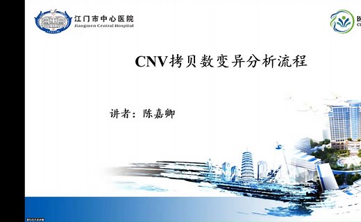 【技术解读】CNV拷贝数变异分析流程