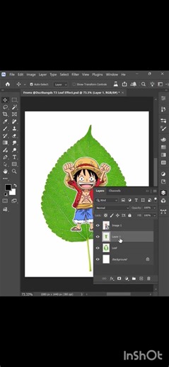Graphic design Adobe illustrator tips for creating leaf carving effect #adobeillustrator#ytviral