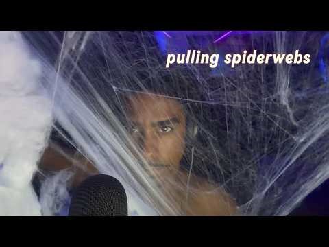 ASMR Pure Spider webs