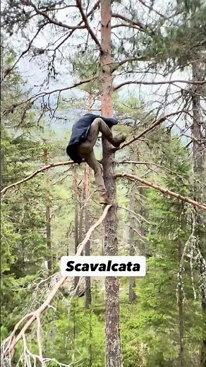 He got stuck in the tree, did we call the fire department? 🧑‍🚒🫣 How NOT to orient yourself in nat...