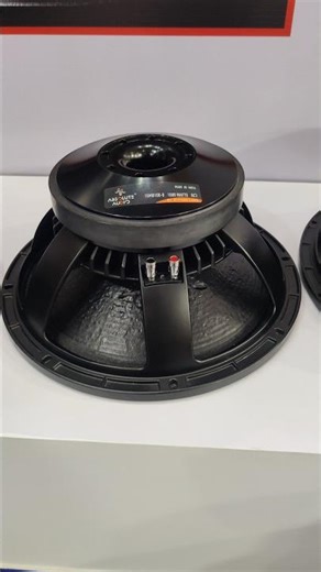 15inch 1000watt top speaker by zypherlabs 15MB1000 BY absolute audio