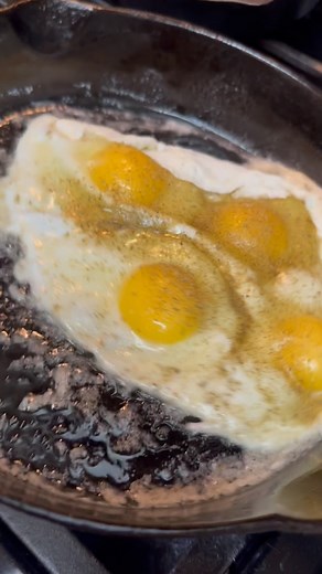 The Falcon Eats on Reels