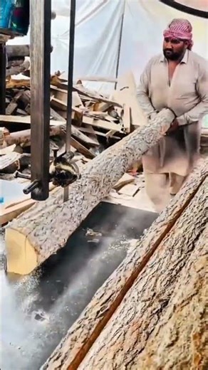 Cutting Logs Using a Band Saw Machine #shorts
