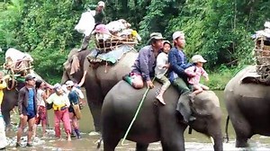Thousands of people in Myanmar’s northern Kachin state are fleeing their homes into the jungle by foot and even elephant to escape a surge in fighting between ethnic Kachin rebels and the Myanmar army in one of the world’s longest-running -- yet often forgotten -- civil wars. | AFP News Agency