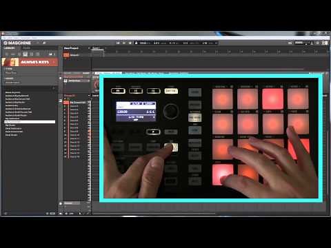 Maschine Mikro MkII - Scales, Chords & Arpeggios