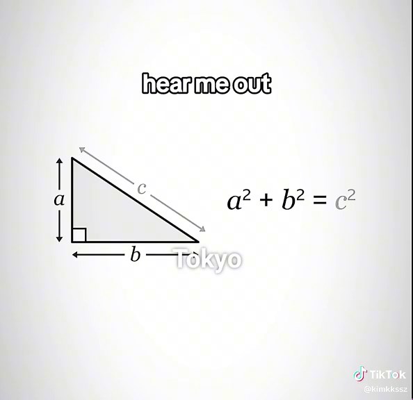 Pythagoras Theorem and Vieta's Theorem Explained - Hear Me Out