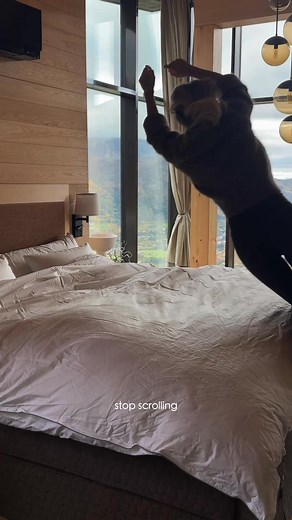 What does your fluff need look like? We’re here to make it come true! | Happyfluffycloud