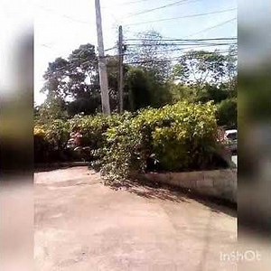 LP Martin funeral home