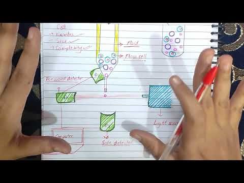 Flow Cytometry explained | Principle | Components | Diagram | Mechanism | Scattering |