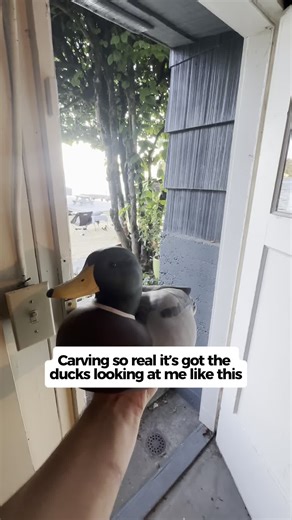 Duc | Duck meet carving 🦆 #duckseason #ducks #funnyanimals #mallards #cuteanimals | Instagram