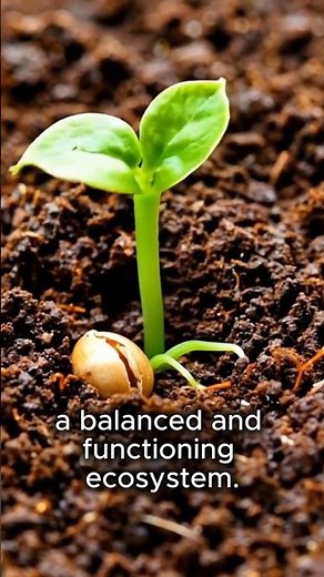 STOP GETTING This Wrong! Biotic vs Abiotic Explained. #shorts