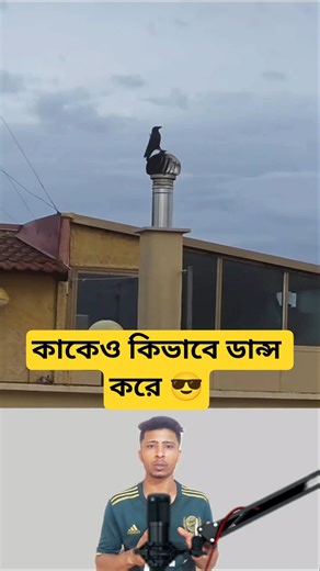 কাকেও কিভাবে ডান্স করে 😎