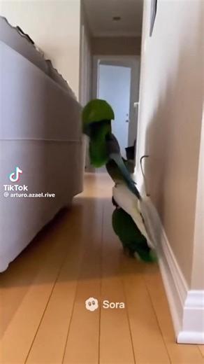 Vesna Vesna on Reels