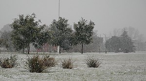 Cae nieve en localidades del sur de la Provincia