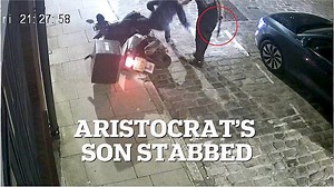 Phone snatcher jumps out of car to stab aristocrat's grandson to death