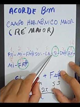 Bm: the SIXTH CHORD of the Harmonic Field of D MAJOR #chords #dmajor #harmonicfield #dmajor #bminor