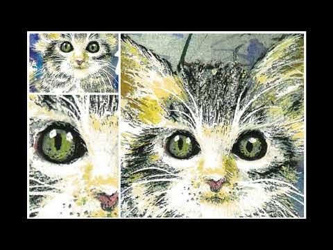 Kitten with Sparkles 1999