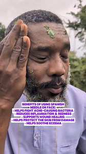 Rub Bidens Pilosa Leaves | Javaun Thompson