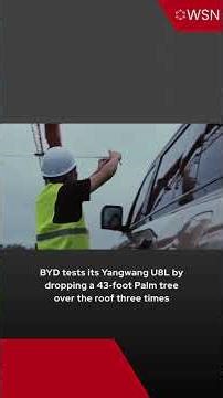 BYD tests its Yangwang U8L by dropping a 43‑foot Palm tree over the roof three times