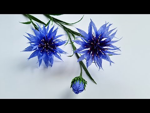 How To Make Cornflower From Crepe Paper / Paper Flower / Góc nhỏ Handmade