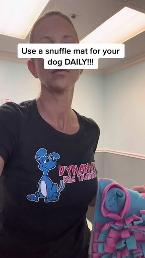 Interactive Snuffle Mat for Daily Mental Stimulation of Your Dog