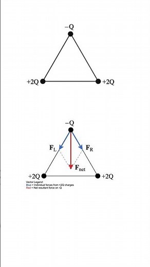 Find net force vector on the charge particle placed in a triangle #physics