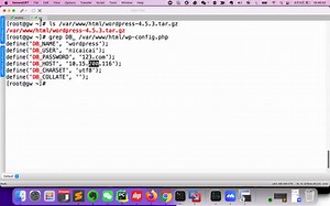13_ansible实例_wordpress_完整版讲解