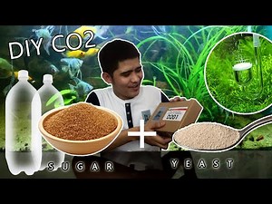 HOW TO MAKE : DIY CO2 using SUGAR and YEAST