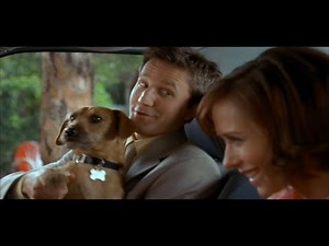 Garfield (2004) - Jon will see Liz on Sunday