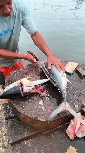 Amazing Small Tuna Cutting by the Sea #shorts #satisfying #fishcutting #sea #seafood