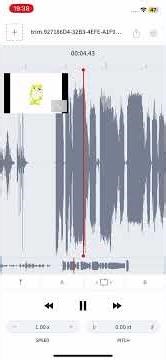 Scratch cat.exe has stopped working #audiostretch