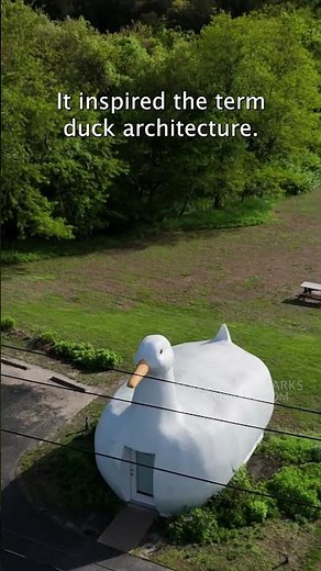 You Won’t Believe What’s Inside This Giant Duck!