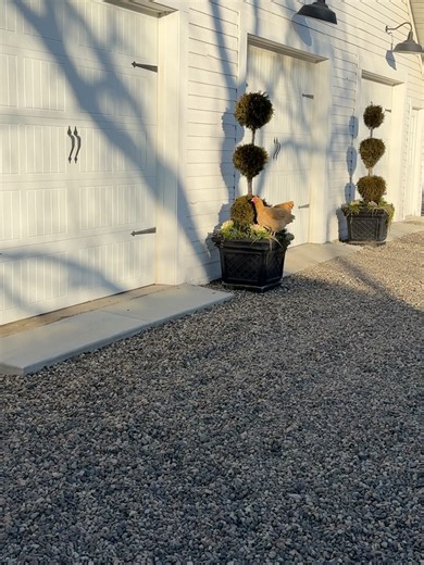 Garden Answer on Reels