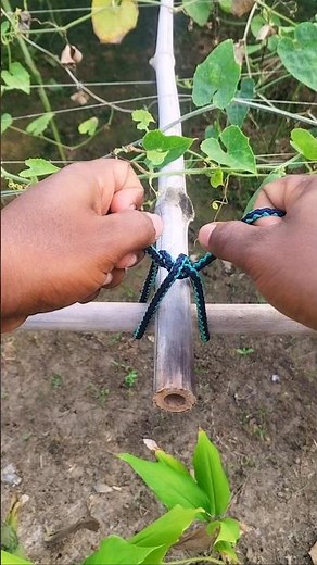 One Practical Knot, Many Uses! 💯