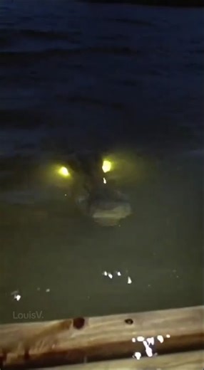 🎥ความลึกลับในทะเลสาบ The lake monster #CinematicAI #AIArchitect #LouisAIArchitect #สิงห์ฉลาม