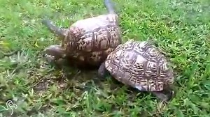 Sometimes you need a friend to get your back. | HuffPost