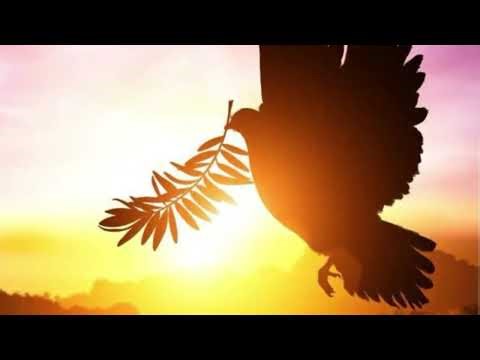 Le poussin et le monde, Anne V.Besnard, poème 