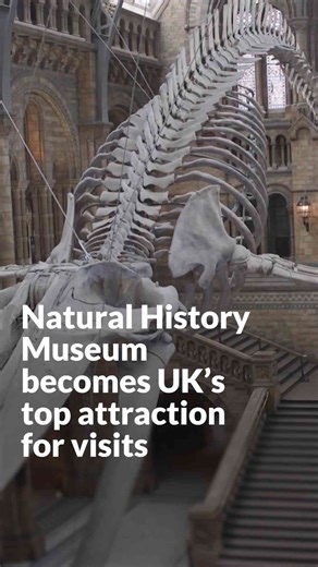 Natural History Museum becomes UK’s top attraction for visits