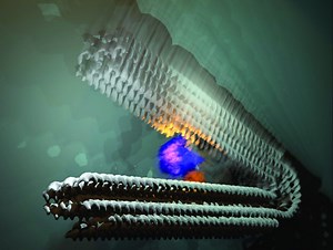 For the Walter Lab, the proof is in the fluorescent pudding - Center for RNA Biomedicine