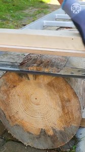 How To Cut Logs With A Ladder | Bored Panda Art