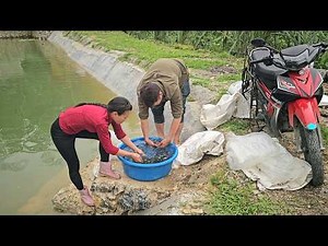 production process at Ban Thi Diet's farm