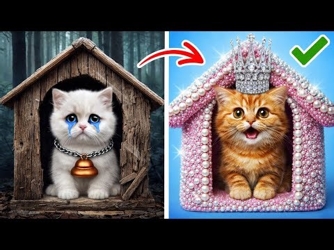 Purrfectly Pampered: DIY Hacks & Gadgets for Cat Royalty! 🐾👑
