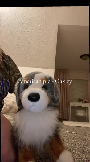 Exploring the Themes of American Pie