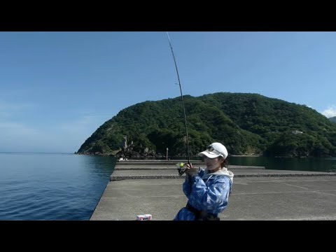 カゴ釣りで噂のハイブリッドクロス試してみた！！